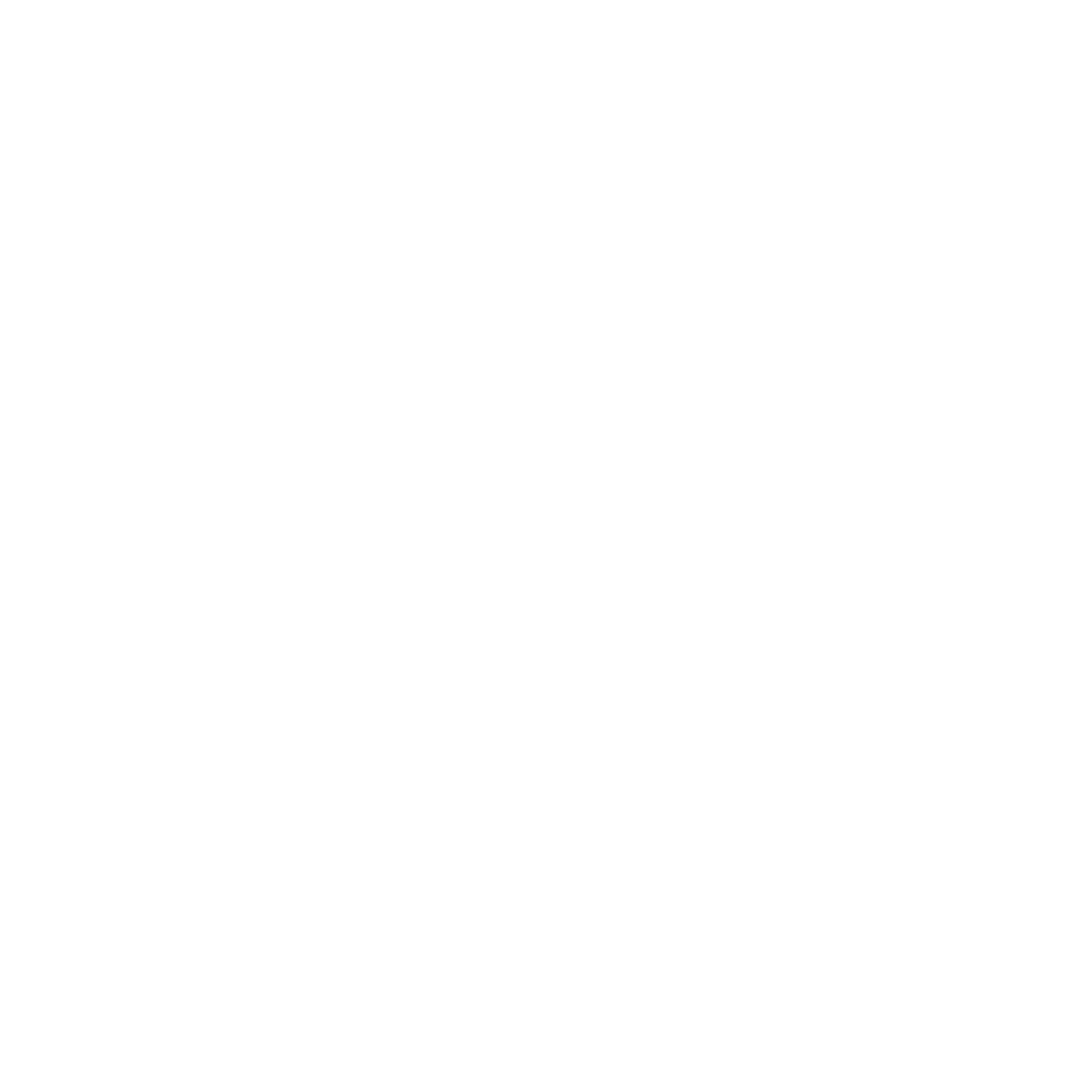 Burton Luxury Logo